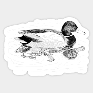 Hand drawn Duck Sticker